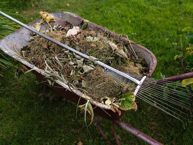 garden-waste-removal-clearance-10-kireth-ai