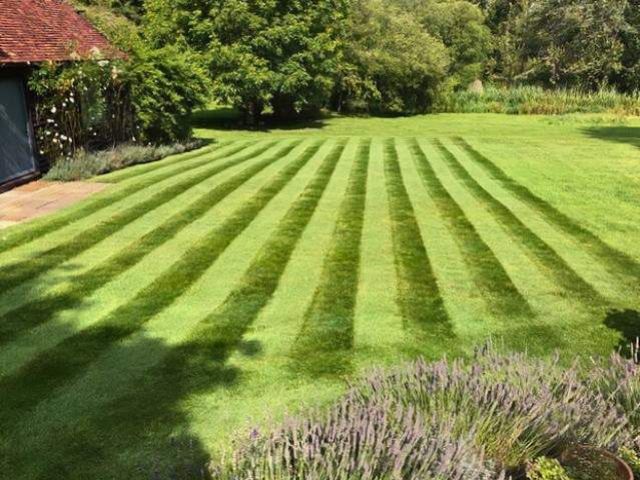 lawn-mowing-care-13-kireth-ai