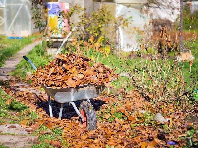 garden-waste-removal-clearance-11-kireth-ai