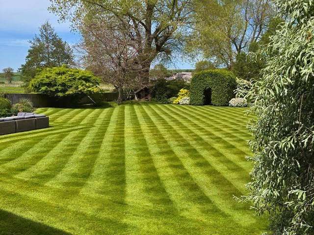 lawn-mowing-care-4-kireth-ai
