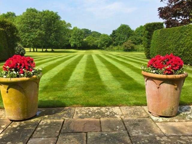 lawn-mowing-care-3-kireth-ai