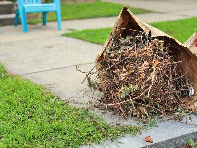 garden-waste-removal-clearance-12-kireth-ai
