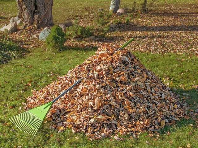 garden-waste-removal-clearance-9-kireth-ai