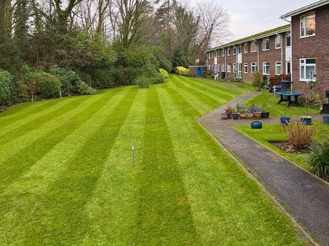 lawn-mowing-care-6-kireth-ai