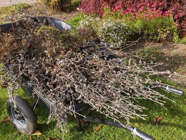 garden-waste-removal-clearance-7-kireth-ai