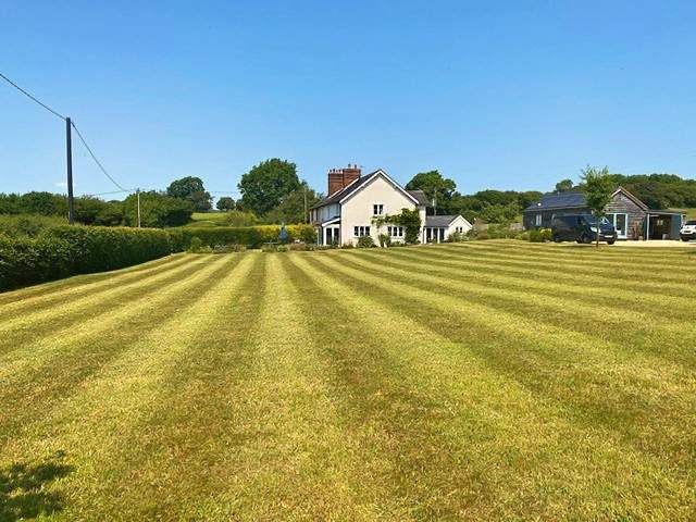lawn-mowing-care-11-kireth-ai