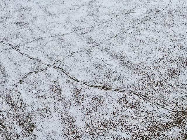 gritting-5-kireth-ai