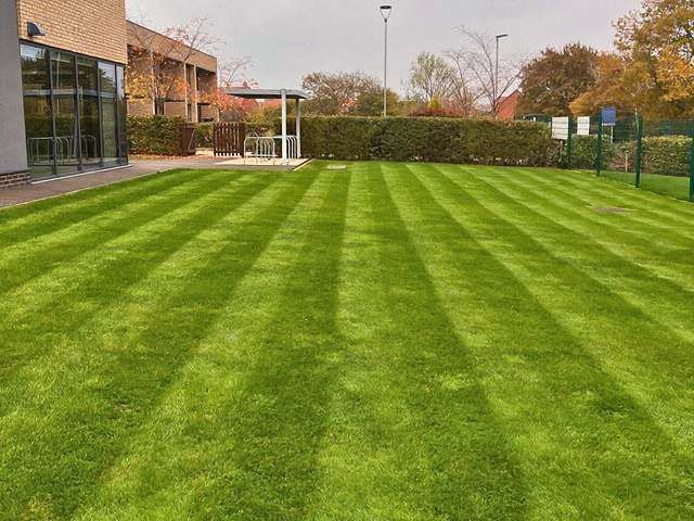 lawn-mowing-care-7-kireth-ai