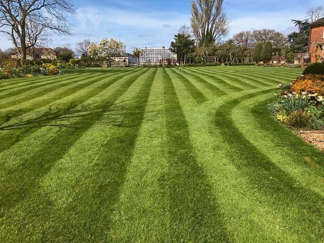 landscape-gardeners-24-kireth-ai