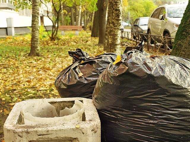 garden-waste-removal-clearance-6-kireth-ai