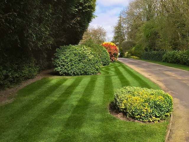 lawn-mowing-care-12-kireth-ai