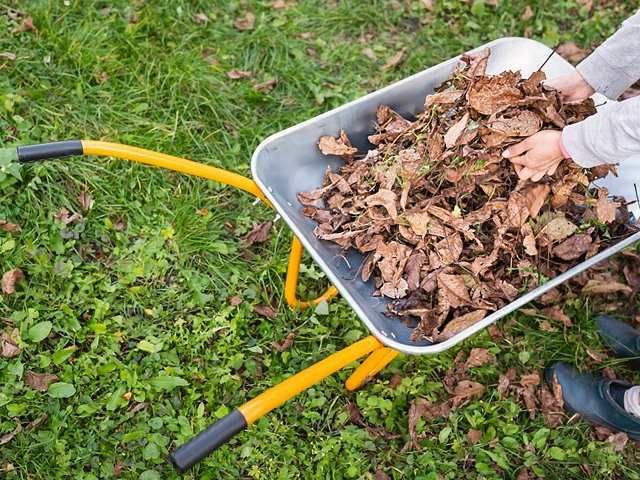 landscape-gardeners-23-kireth-ai