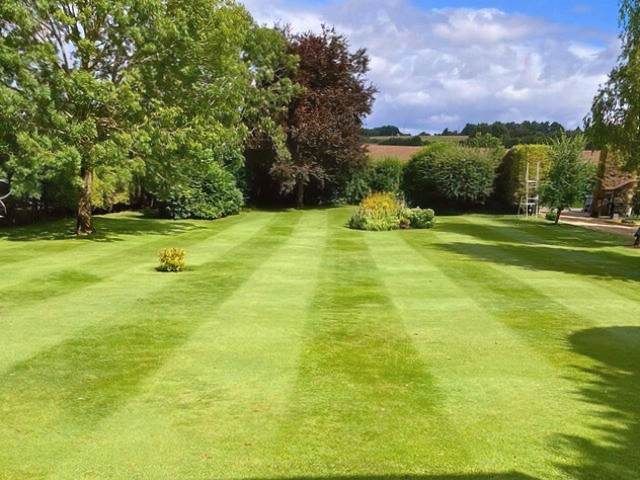 lawn-mowing-care-9-kireth-ai