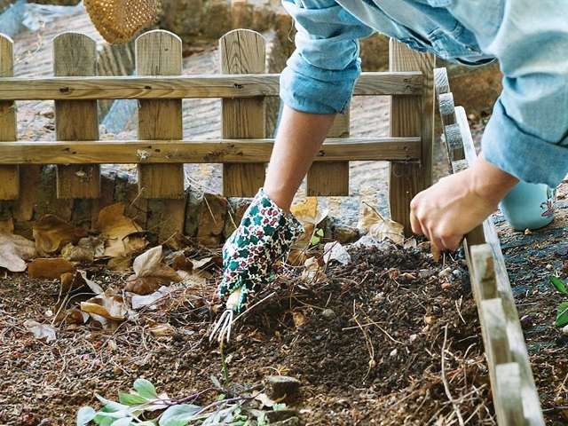 garden-waste-removal-clearance-3-kireth-ai